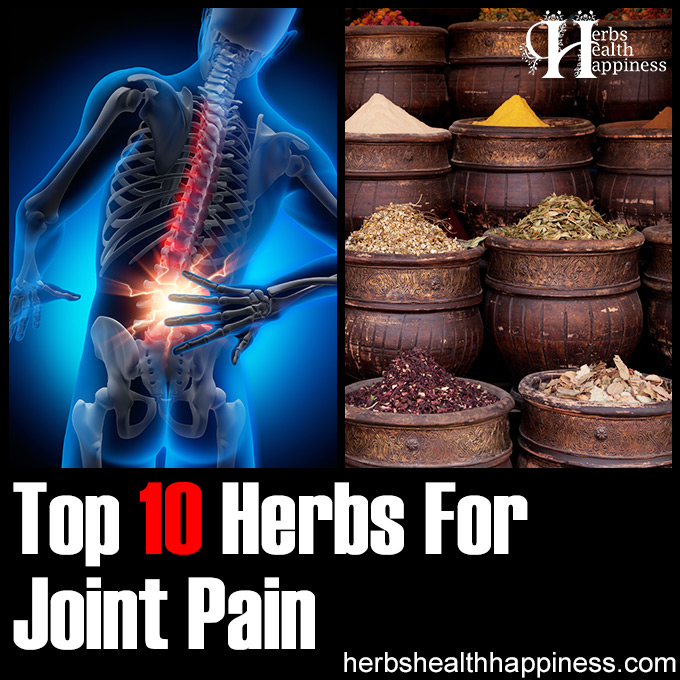 Top 10 Herbs For Joint Pain