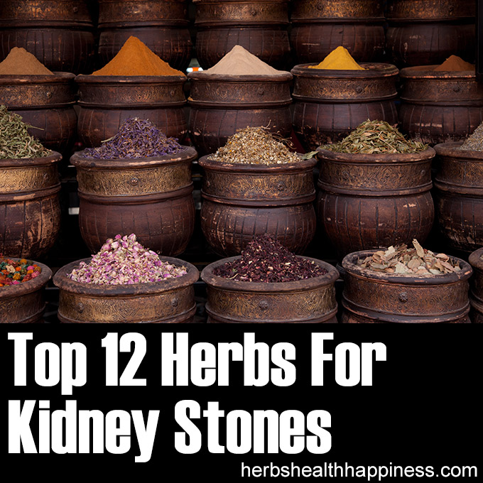 Top 10 Herbs For Kidney Stones