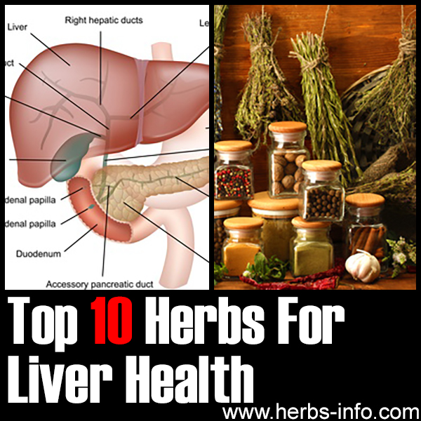 Top 10 Herbs For Liver Health