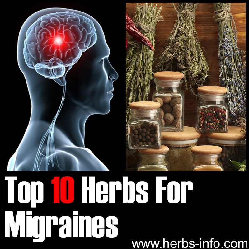 Top 10 Herbs For Migraines
