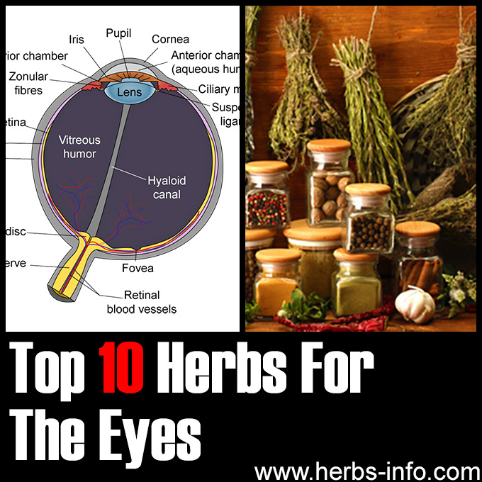 Top 10 Herbs For The Eyes