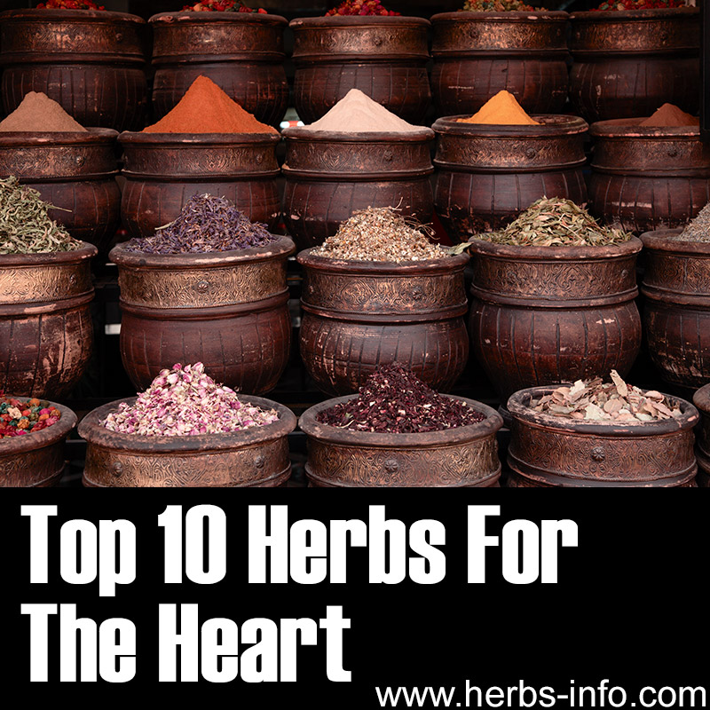 Top 10 Herbs For The Heart