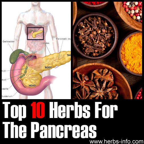 Top 10 Herbs For The Pancreas