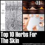 10 Herbs For The Skin