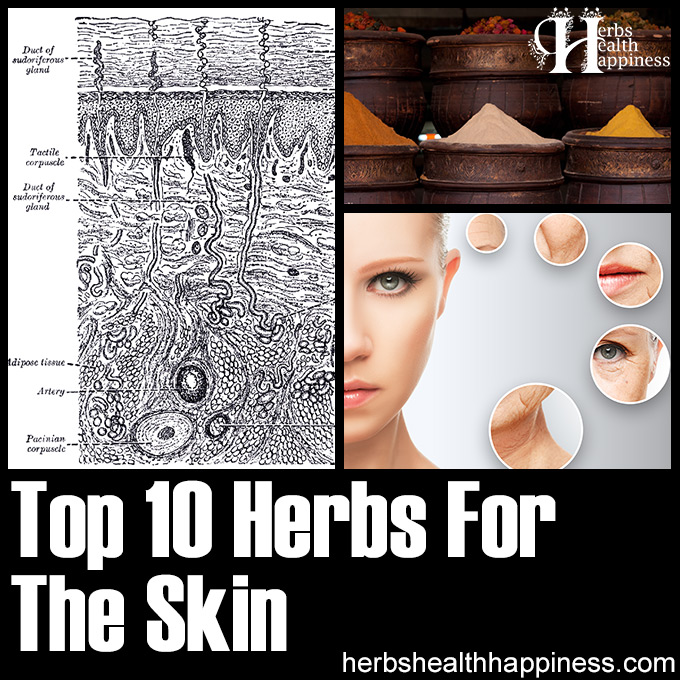 Top 10 Herbs For The Skin