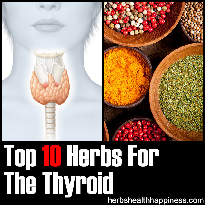 Top 10 Herbs For The Thyroid