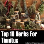 10 Herbs For Tinnitus