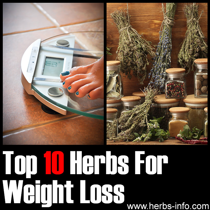 Top 10 Herbs For Weight Loss