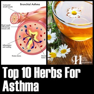 10 Herbs For Asthma - Herbs Health & Happiness