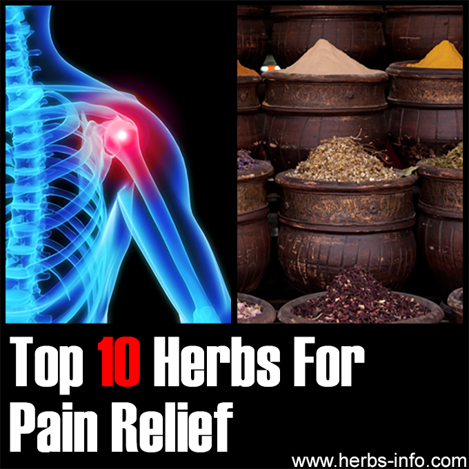 Top 10 Herbs for Pain Relief