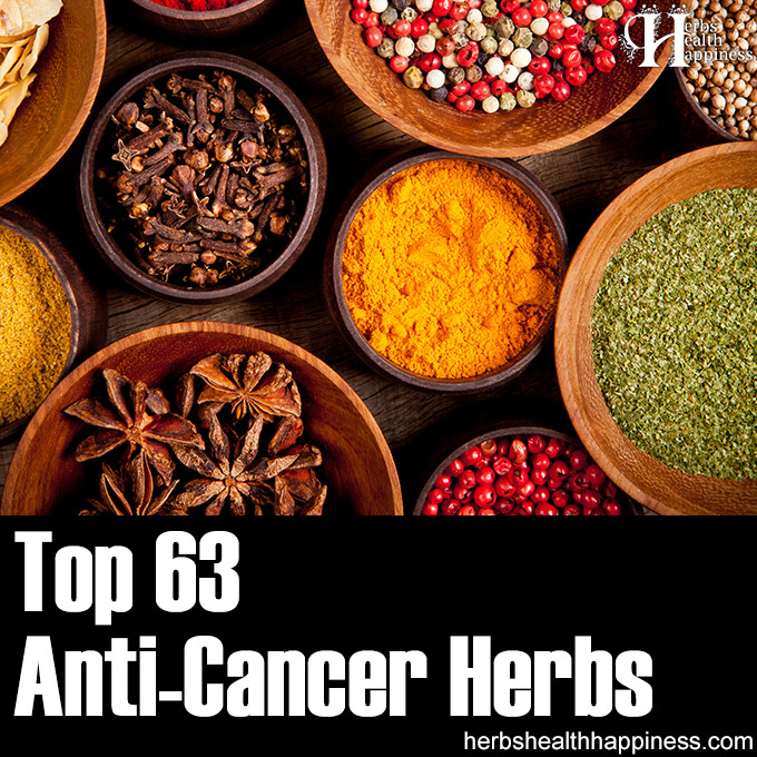 Top 63 Anticancer Herbs