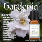 Gardenia Essential Oil