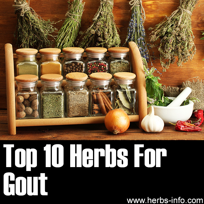 Top 10 Herbs For Gout