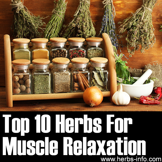 Top 10 Herbs For Muscle Relaxation
