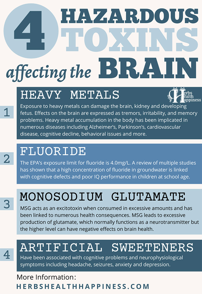 4 Hazardous Toxins To The Brain