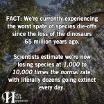 Fact – We Are Currently Experiencing The Worst Spate Of Species Die-Offs Since The Loss Of The Dinosaurs