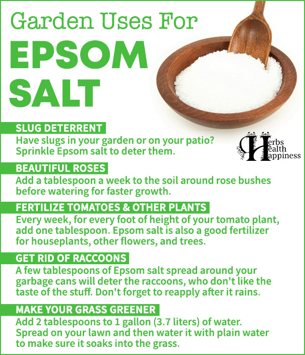 Garden Uses of Epsom Salt