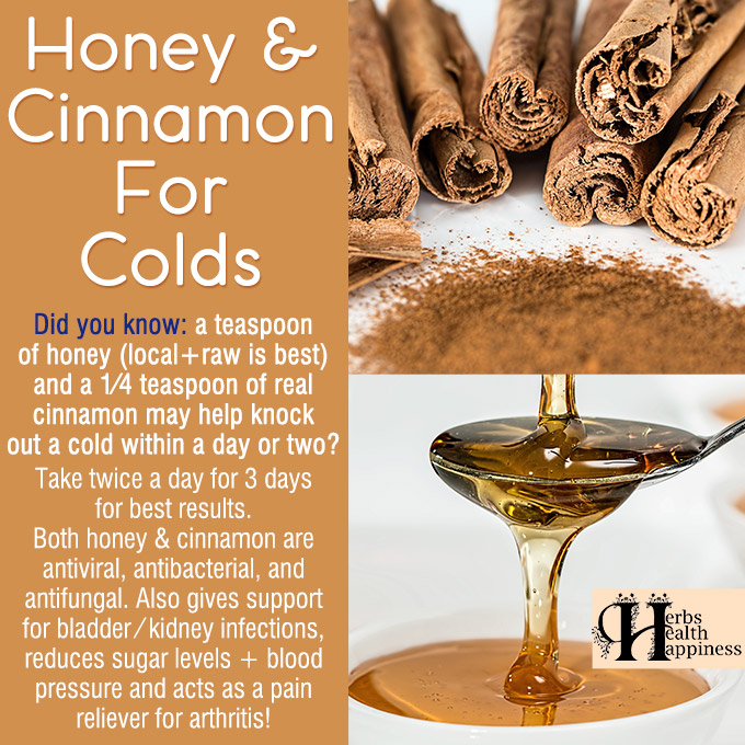 Honey And Cinnamon For Colds