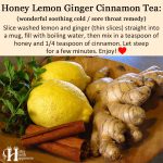 Honey Lemon Ginger Cinnamon Tea (easy to make, soothing, delicious!)