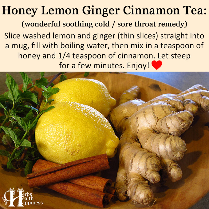 Honey Lemon Ginger Cinnamon Tea