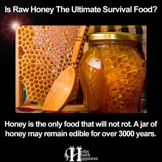 Is Raw Honey The Ultimate Survival Food