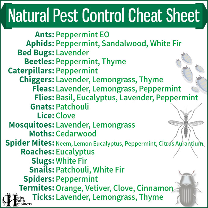 Natural Pest Control Cheat Sheet
