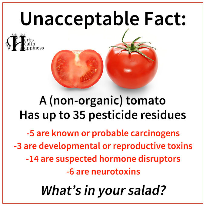 Unacceptable Fact - A Non-Organic Tomato