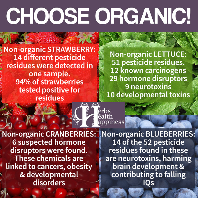Why You Should Choose Organic