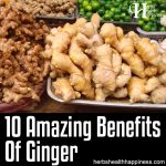 10 Amazing Benefits Of Ginger