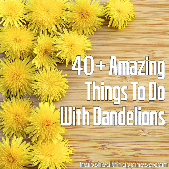 40 Amazing Things To Do With Dandelions