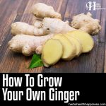 How To Grow Your Own Ginger