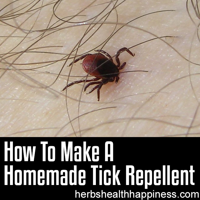 How To Make A Homemade Tick Repellent Using Essential Oils