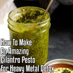How To Make An Amazing Cilantro Pesto For Heavy Metal Detox