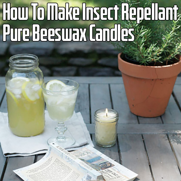 How To Make Insect Repellant Beeswax Candles