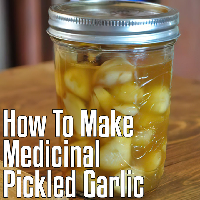 How To Make Medicinal Pickled Garlic