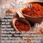 Spice Of The Day: Saffron