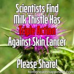 AMAZING News! Scientists Report That Milk Thistle Has “Triple Action” Against Skin Cancer