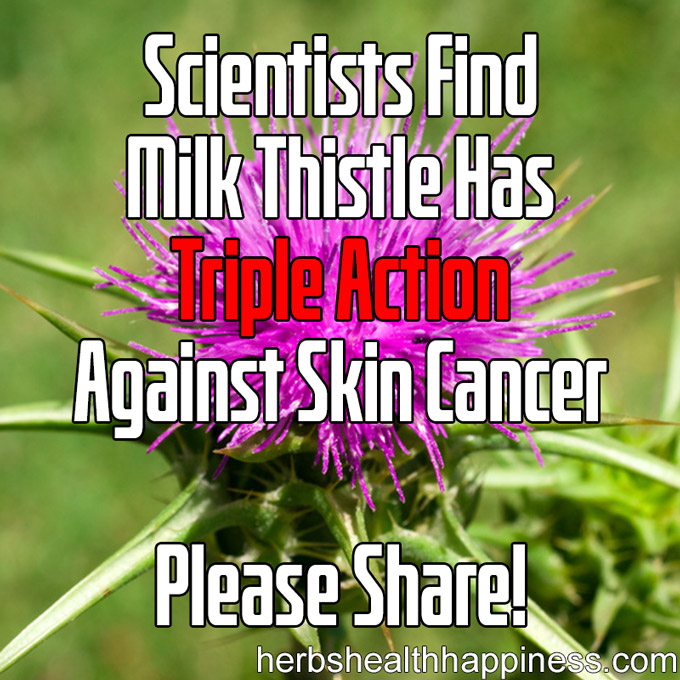 Scientists Find Milk Thistle Has Triple Action Against Skin Cancer