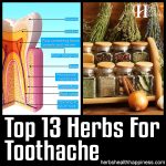Top 13 Herbs For Toothache