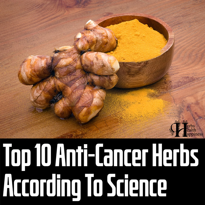 10 Of The Best Anti-Cancer Herbs According To Science - Detailed Free Guide With 45 Scientific References