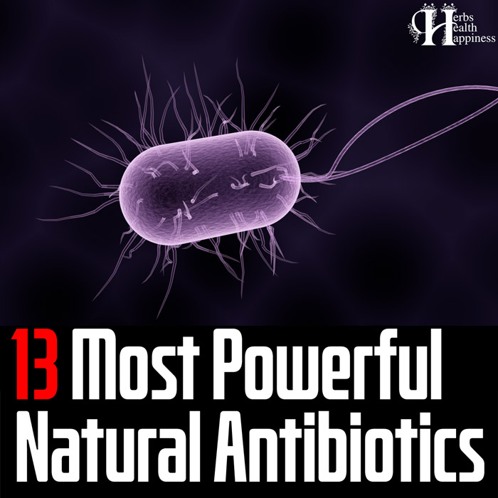 13 Most Powerful Natural Antibiotics