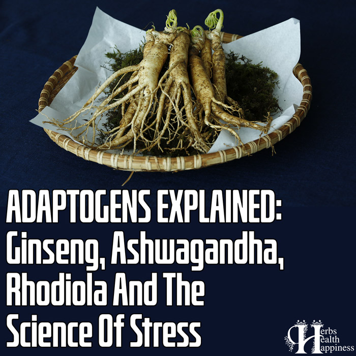 ADAPTOGENS EXPLAINED - Ginseng, Ashwagandha, Rhodiola And The Science Of Stress