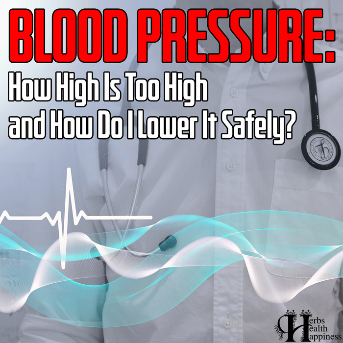 Blood Pressure - How High is Too High and How Do I Lower it Safely