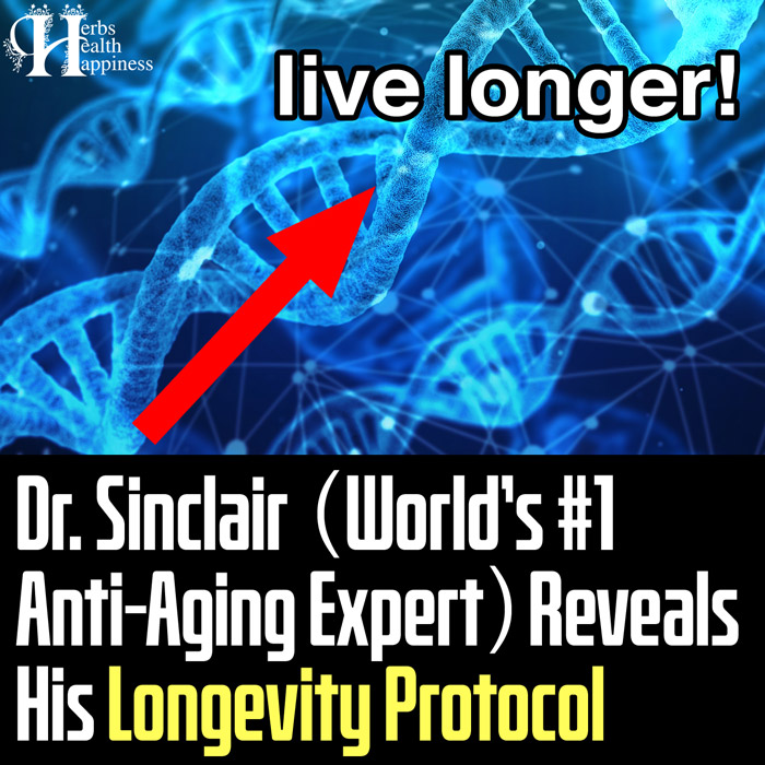 Dr Sinclair - World's #1 Anti Aging Expert - Reveals His Longevity Protocol