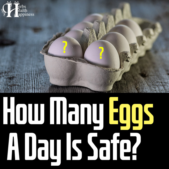 EGGS - Natures Perfect Superfood - How Many A Day To Stay Healthy - Dr Alan Mandell, D.C.