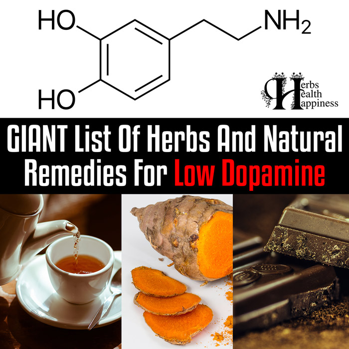 Herbs And Natural Remedies For Low Dopamine