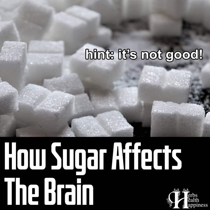 How Sugar Affects The Brain