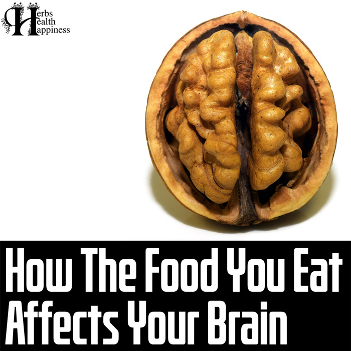 How The Food You Eat Affects Your Brain