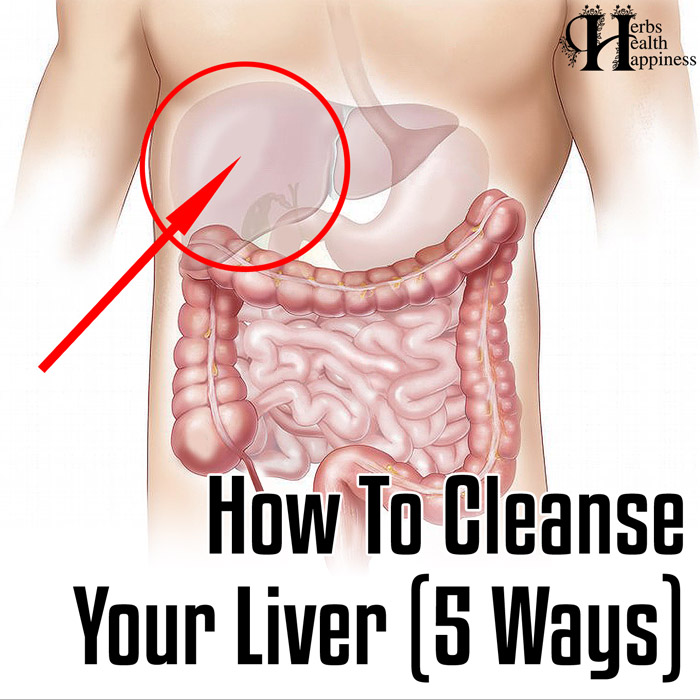 How To Cleanse Your Liver (5 Ways)