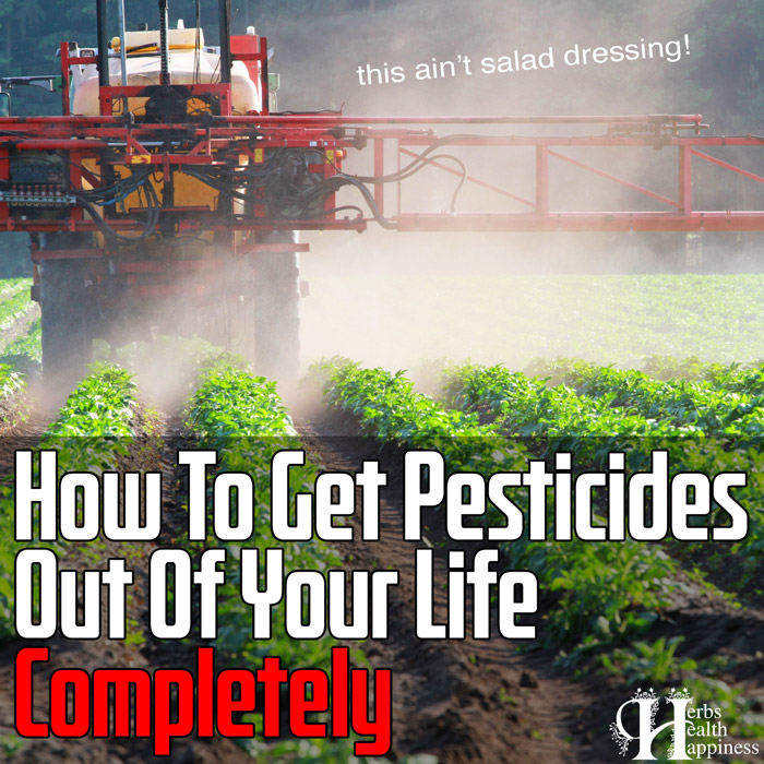 How To Get Pesticides Out Of Your Life Completely (Do This ASAP)